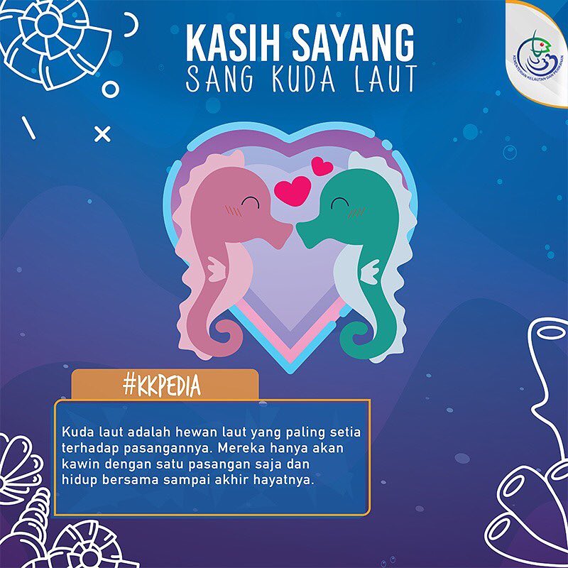 Kasih Sayang Sang Kuda Laut